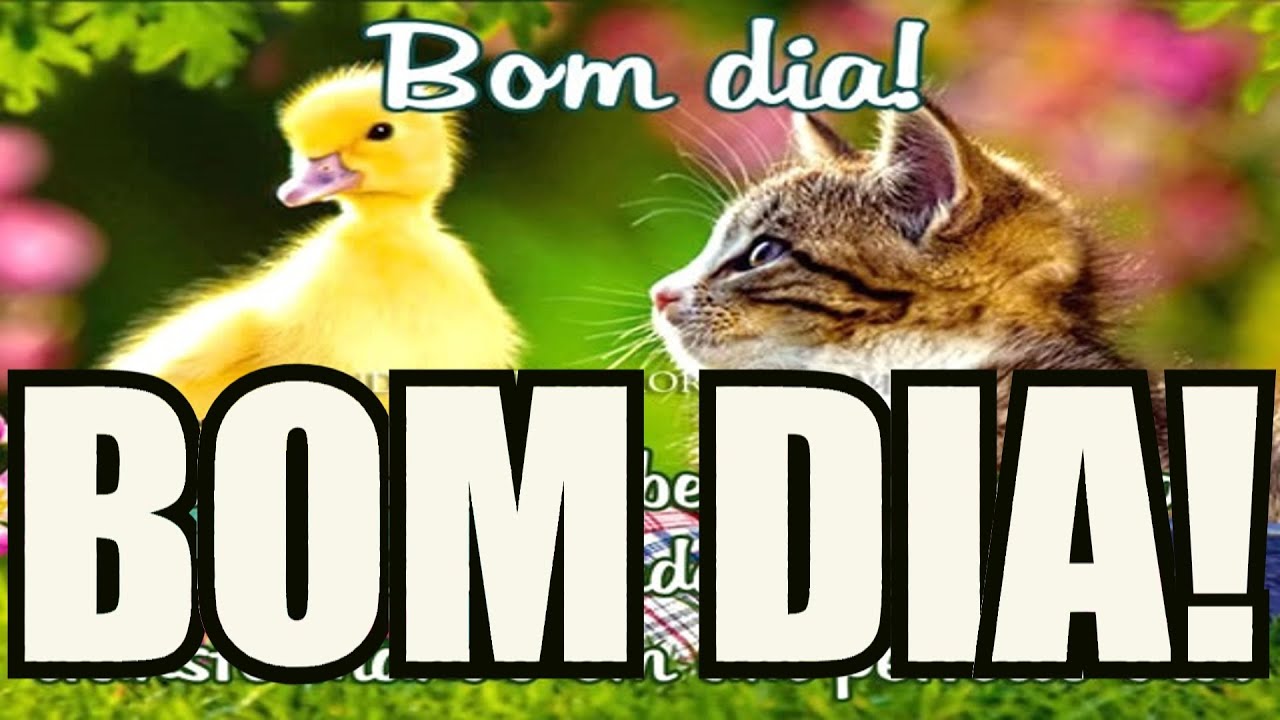 MENSAGEM EVANGéLICA DE BOM DIA QUE DEUS LHE ABEN‡OE VIDEO DE BOM DIA