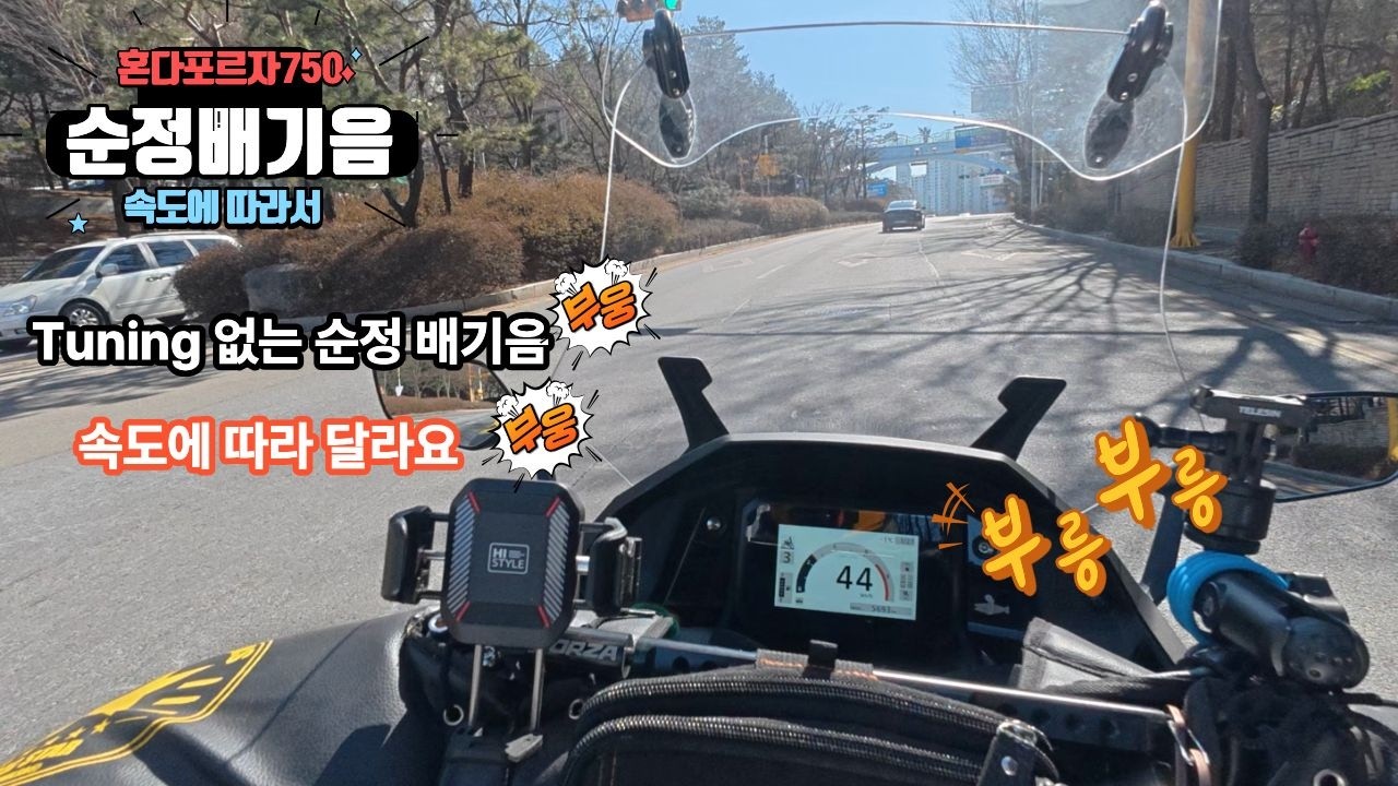 2025 포르자750 순정배기음 #포르자750 #포르자배기음