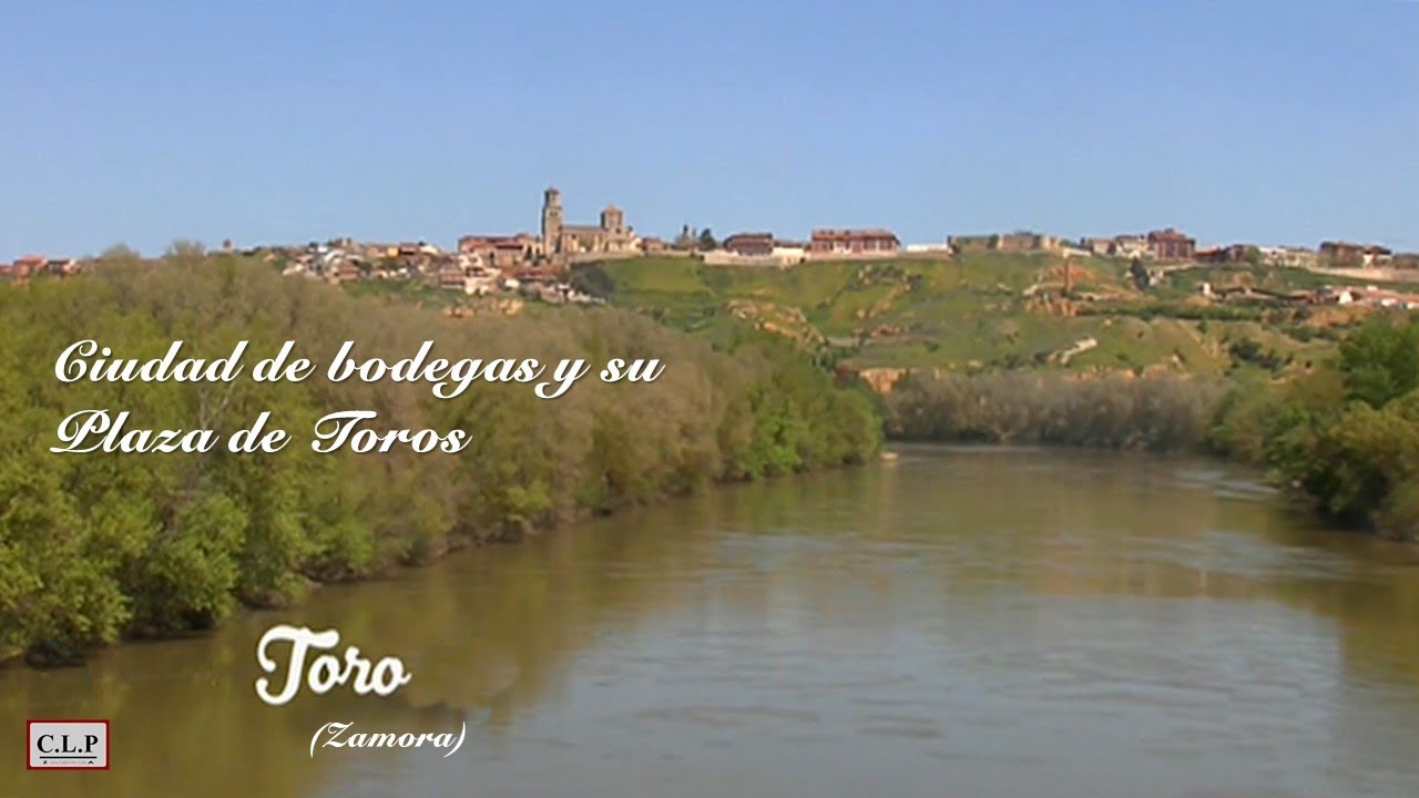 Toro (Zamora). Bodegas y hermosa Plaza de Toros, repor TV