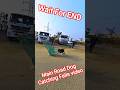 Main Road Dog Catching Fail #fail #dog #shorts #ytviral #dogwithpublicsafety #pets