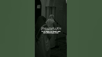 تلاوة خاشعة نادرة ﴿ اسْتَجِيبُوا لِرَبكُم مِن قَبْلِ أَن يَأْتِيَ يَوم ﴾ محاكاة الشيخ محمد اللحيدان