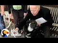 Rescue Puppy Gets Adopted By Joe Biden | The Dodo