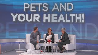 The Health Benefits of Having a Pet