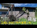チェーンブロックで抜根しまくる。開拓。