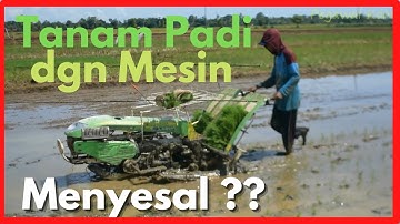 JANGAN TANAM PADI DENGAN MESIN SEBELUM TONTON VIDEO INI