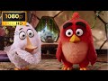 Anger Management Class THE ANGRY BIRDS MOVIE 2016 