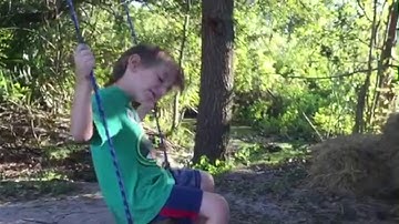 Principles of Visual Language