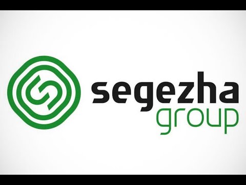Финансовый и технический анализ компании Segezha Group