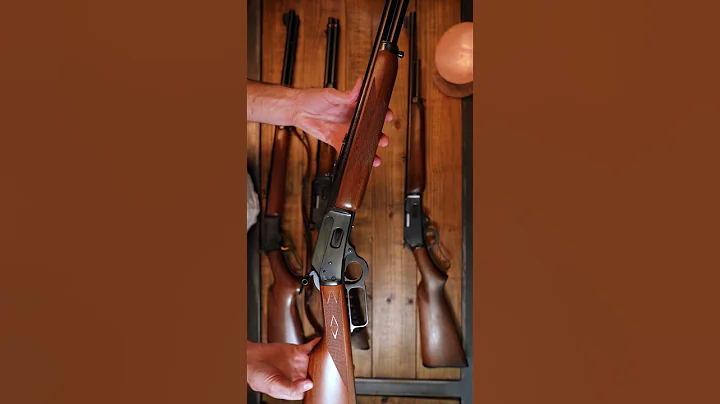 Lever Gun Collection 2023 #shorts #leverguns #collection #marlin