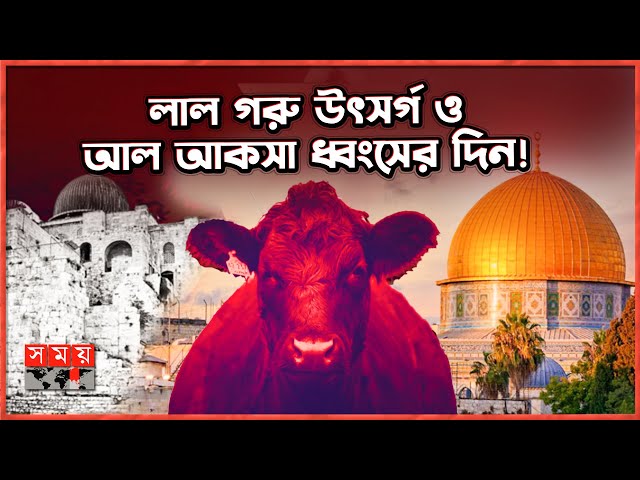 Yassi kokrak porno Shirin qizlar onlayn porno