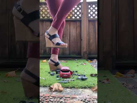 Don't leave your toy cars laying around in April's backyard