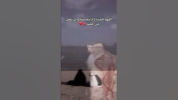 #اكسبلور #المصحف #الرحمن القرآن الكريم ربيع قلوبنا ونور صدورنا الحمد لله دائما وابدا