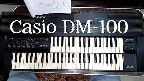 Casio DM-100 review / demo
