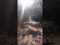 Musafir Hoon #nature #travelblog #travelvideo #oldsong #travelvlog #travelling