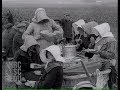 Vendanges à Verzenay, Champagne, France 1925