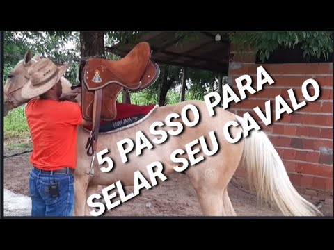Vídeo: Como fazer uma sela para um cavalo com suas próprias mãos