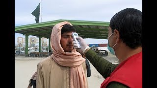 Pakistan reports more than 7,000 positive COVID-19 cases, 135 people lose their lives