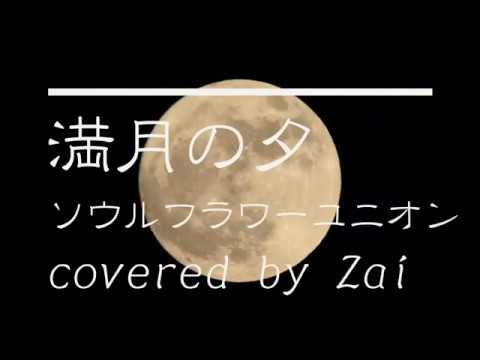 【全力弾き語り】満月の夕/ソウルフラワーユニオン【Zai】