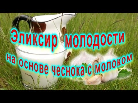 Эликсир молодости на основе чеснока с молоком