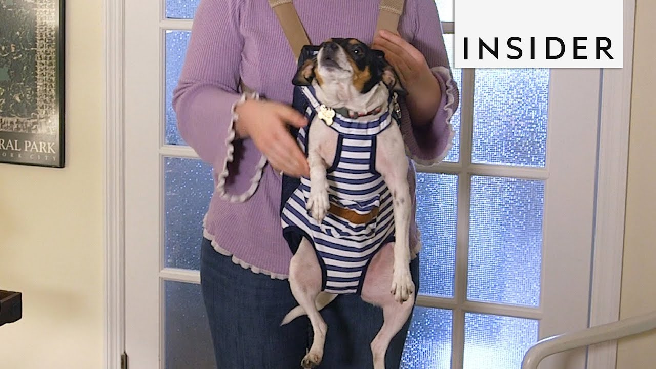baby dog carrier