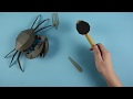 Stop Motion Cooking -  How to Make a Table of Delicious Food : Crab 🦀️Sea Bass🐟Chicken