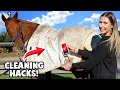 TESTING EQUESTRIAN CLEANING HACKS!