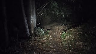 Live Misteri || m4kam di tempat saya