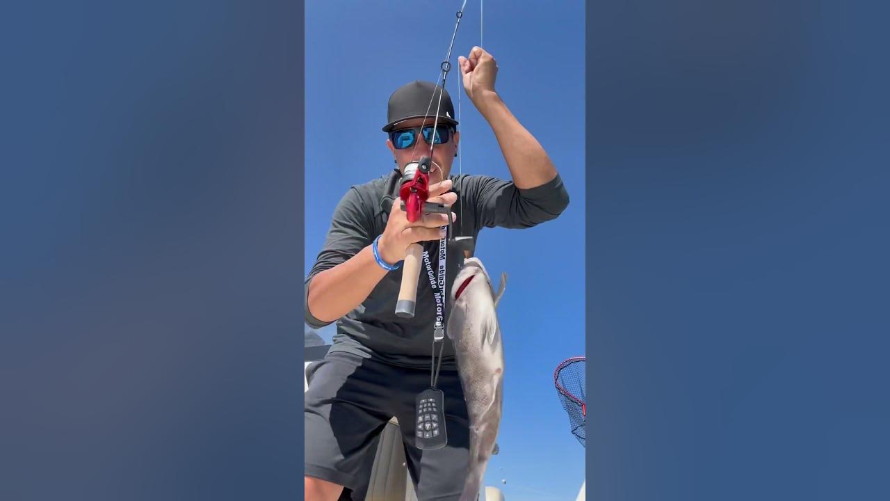 Catching Tog on the Dock Demon 🤯dockdemon tautog blackfish 