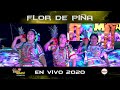 Flor de Piña - Banda Tierra Mojada