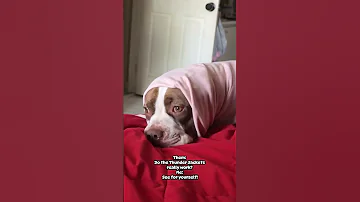 My Daughter Sarabi Is Enjoying Her Thunder Jacket No More Hiding When It Thunders 