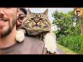 This Cat Refused to Stay Home, So His Parents Bought Him a Helmet