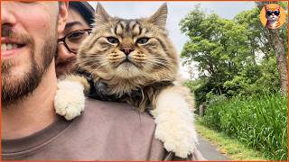 This Cat Refused to Stay Home, So His Parents Bought Him a Helmet