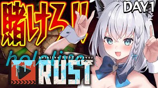 白上フブキの配信のサムネイル画像