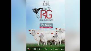 Leilão Dia do RG - Etapa Fêmeas