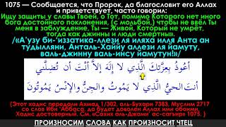 Ищу Защиты У Славы Твоей, О Тот, Помимо Которого Нет Иного Бога Достойного Поклонения