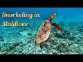 Snorkeling in the Maldives | Best coral reef