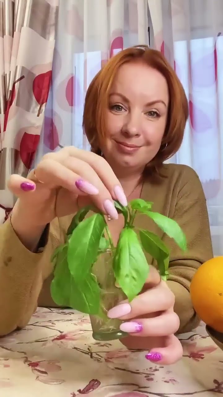 фиолетовый базилик, куда добавить