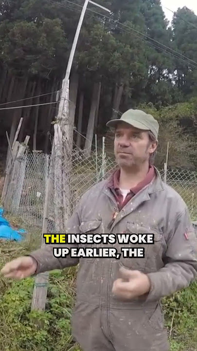 'It's Terrifying' local farmer sees drastic change in Japan climate