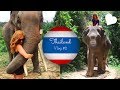 BEST ETHICAL ELEPHANT SANCTUARY ! THAILAND Vlog #2