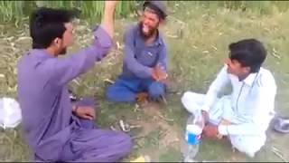 pashto new video malak jalat khan happiness