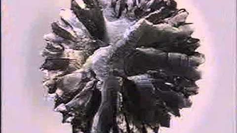 1 General Procedures for Failure Analysis