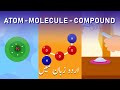 What Distinguishes Compounds from Molecules? |  Compounds Aur Molecules Kia Hain? | UrduFreeAnimated