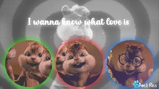 The Chipmunks - I Want To Know What Love Is Lipsynclyric Video