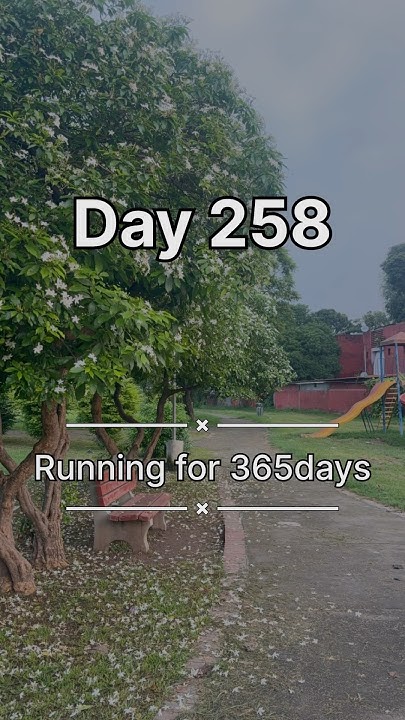 Day258 365days Love What You Do 3 2km Run Everyday consistency day258-365days-love-what-you-do-3-2km-run-everyday-consistency