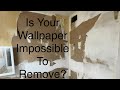 When wallpaper removal becomes impossible do this  spencer colgan
