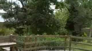 Aug 31 2008 - Hurricane Gustav #1 (2:30pm) sunheraldtv
