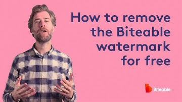 How to Remove the Biteable Watermark | 100% FREE | 2020 COMPLETELY WORKING