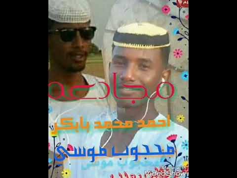 الشاعر محجوب موسي