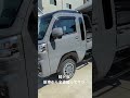 新車の軽トラ全塗装してみた #新型ハイゼット #軽トラカスタム