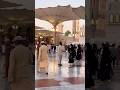 Madina Al Munawara in Ziyarat 💚🌹#madina #rasoolallah #love #umrah #travel #ytshorts #shorts #islam